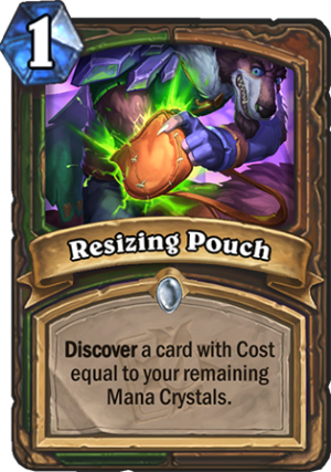 Resizing Pouch Card